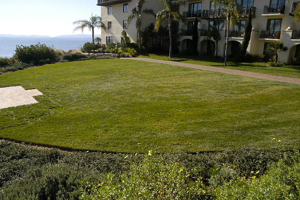 Ocean Lawn Grass Area.02