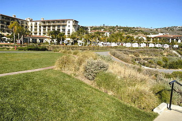 Grass Area Near Pool .12