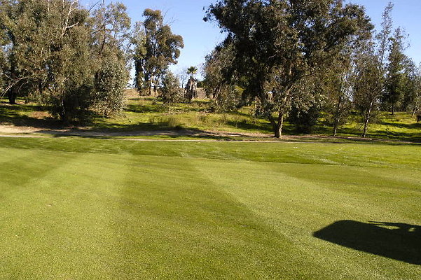 Ike 10th Fairway.06