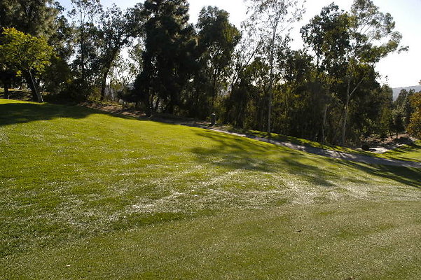 Ike 10th Fairway.07