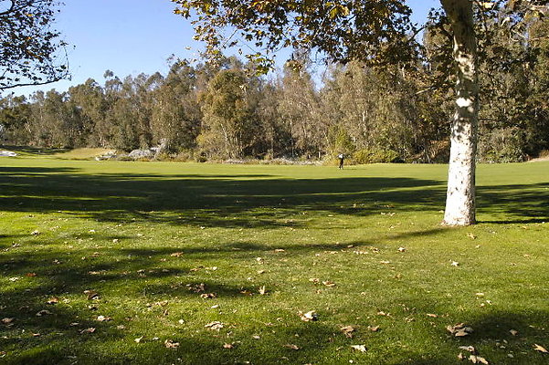 Ike 10th Fairway.14