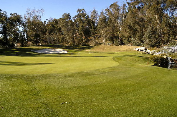 Ike 10th Green.02
