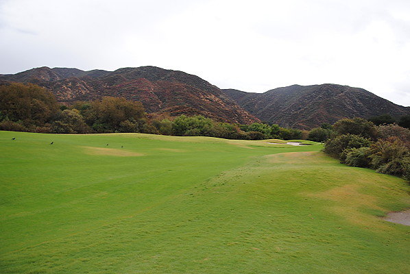 DSC 0253