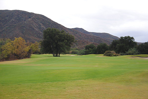 DSC 0243