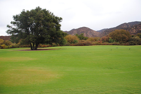 DSC 0252