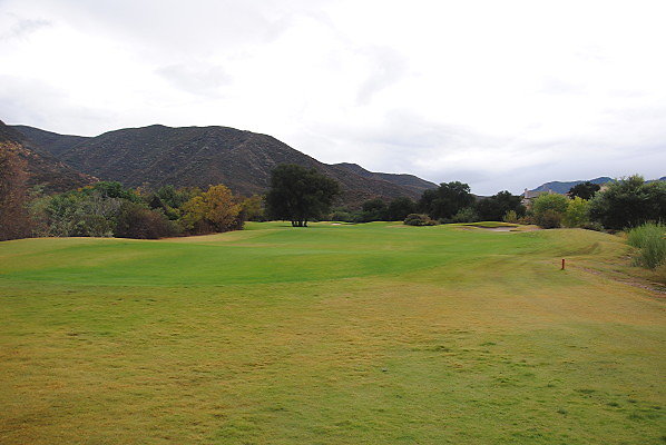 DSC 0249
