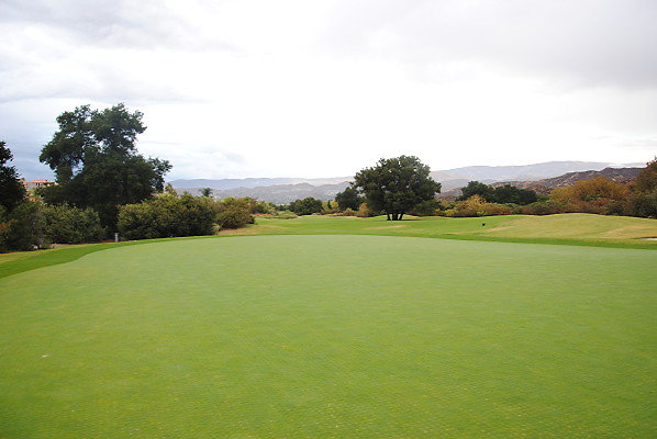 DSC 0267