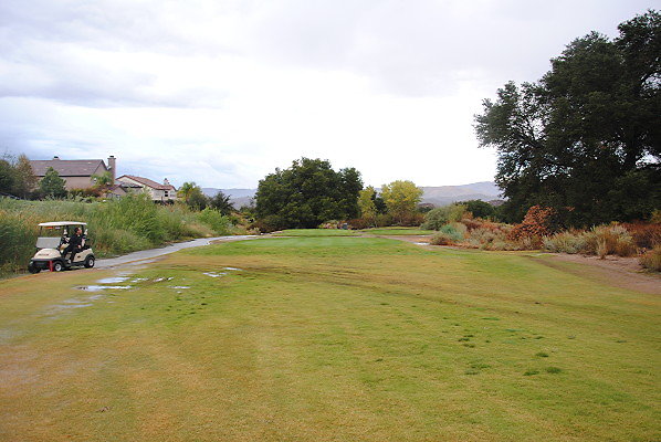 DSC 0250