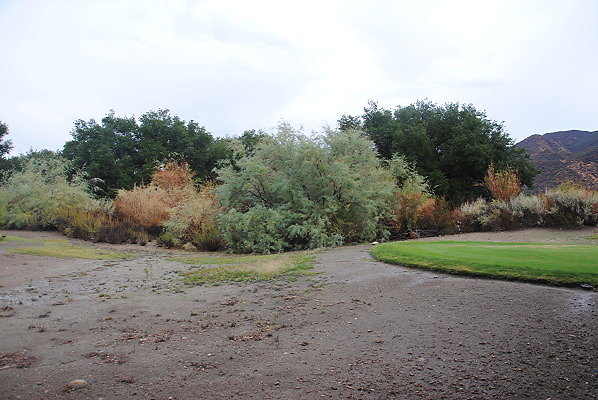 DSC 0237