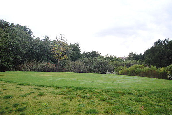 DSC 0314