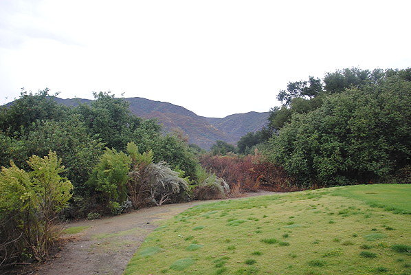 DSC 0313