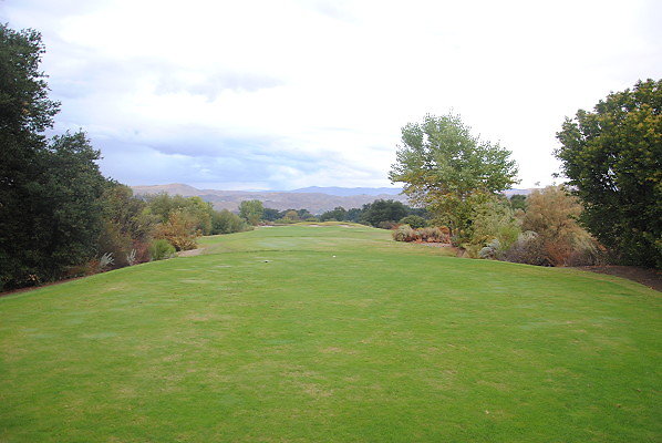 DSC 0317