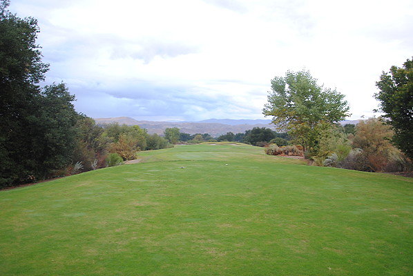 DSC 0319