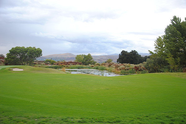 DSC 0333