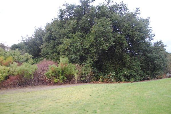 DSC 0316