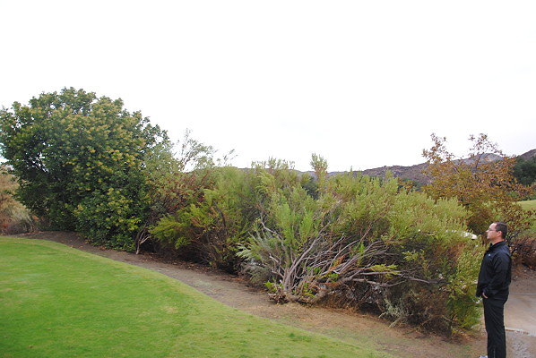 DSC 0318