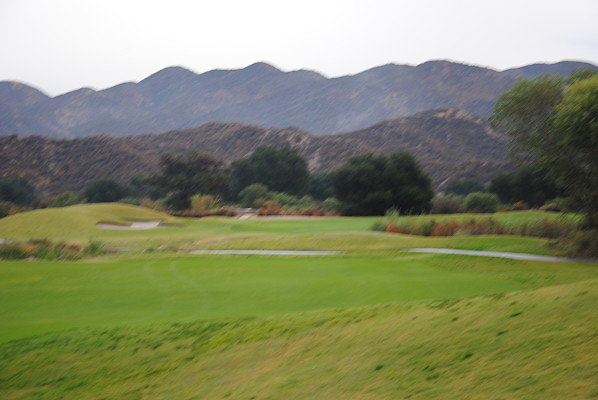DSC 0350