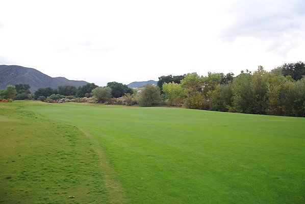 DSC 0322