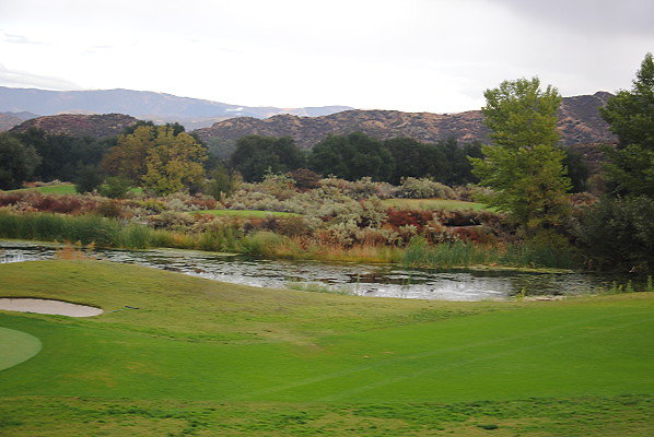 DSC 0342