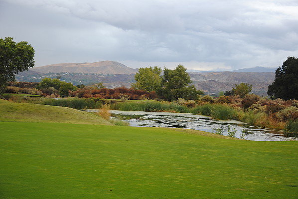 DSC 0336