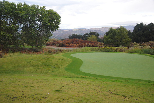 DSC 0343