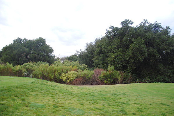 DSC 0315