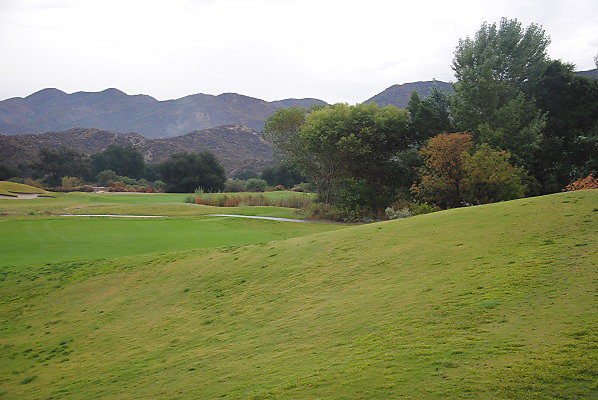 DSC 0353