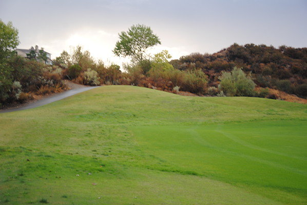 DSC 0334