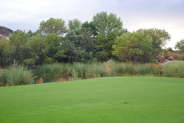 DSC 0328