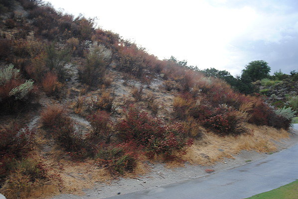 DSC 0393