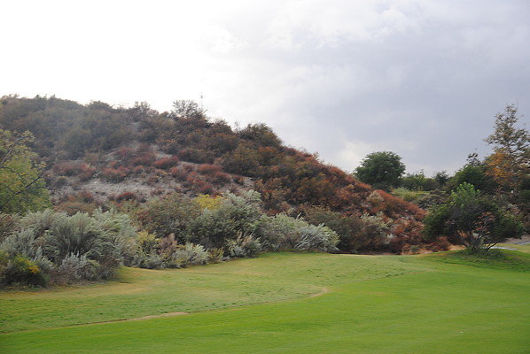 DSC 0384