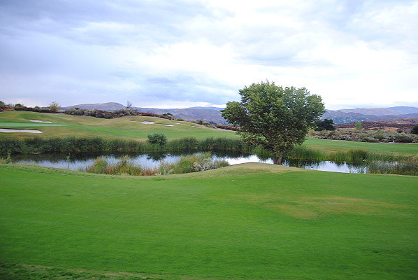DSC 0388