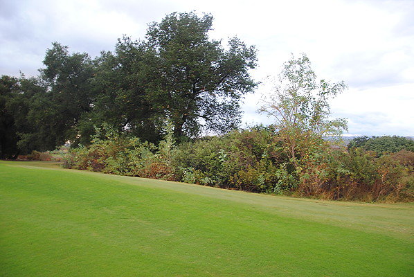 DSC 0371