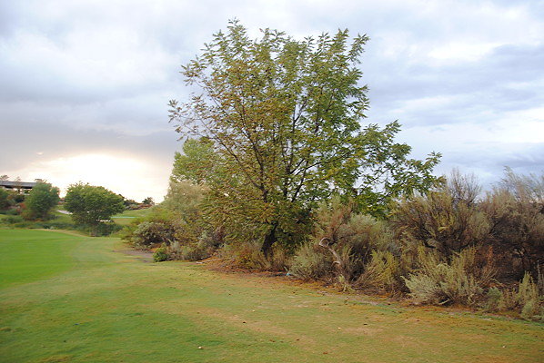 DSC 0380