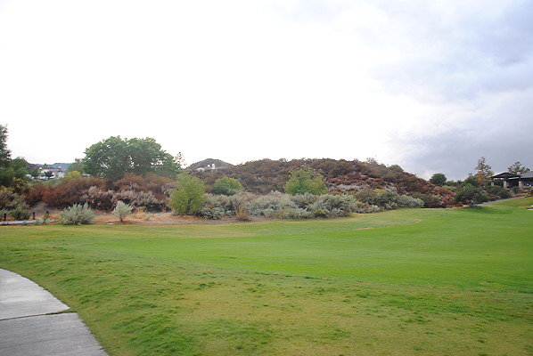 DSC 0378