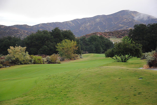 DSC 0403