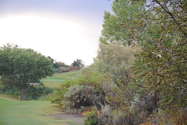 DSC 0386