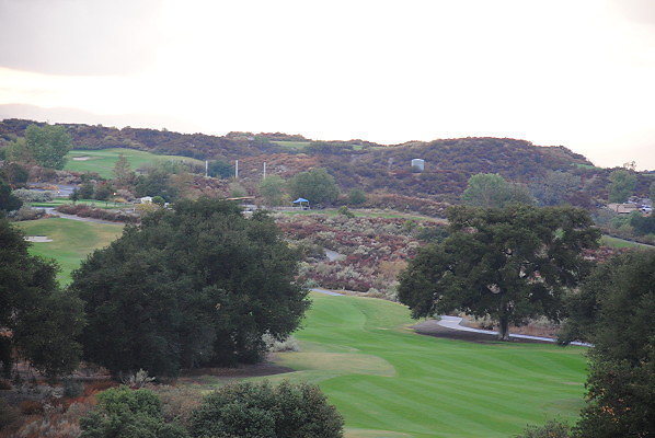 DSC 0365