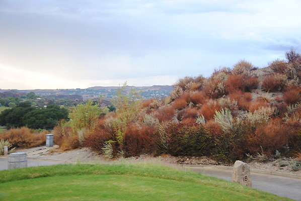 DSC 0368