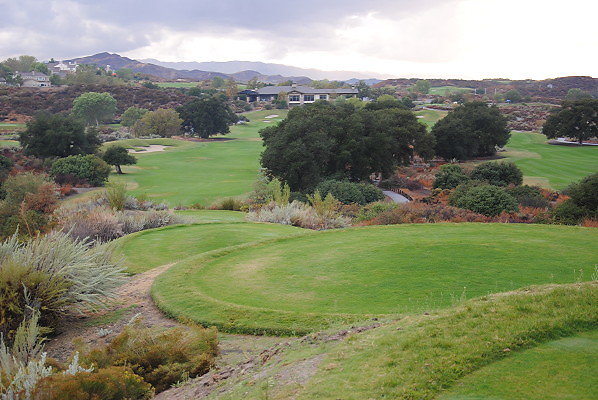 DSC 0361
