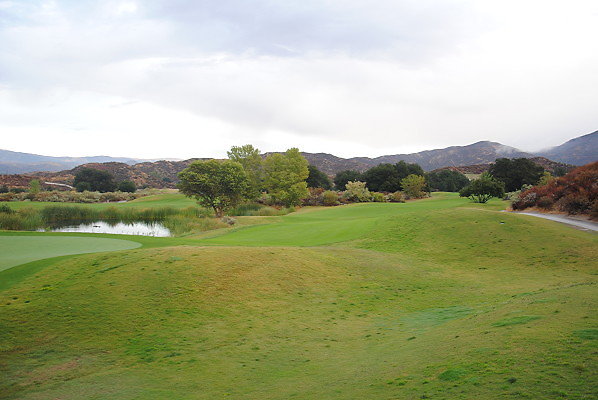 DSC 0401
