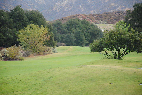 DSC 0404