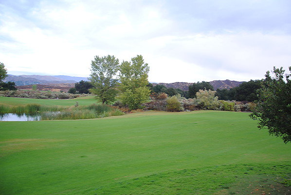 DSC 0389