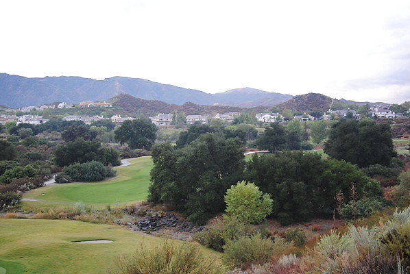 DSC 0366