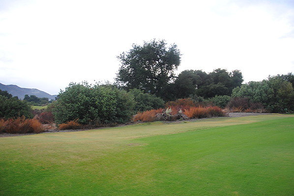 DSC 0369