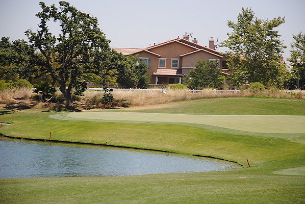 DSC 0113