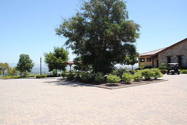 DSC 0013