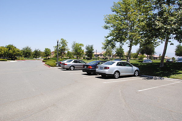 DSC 0003