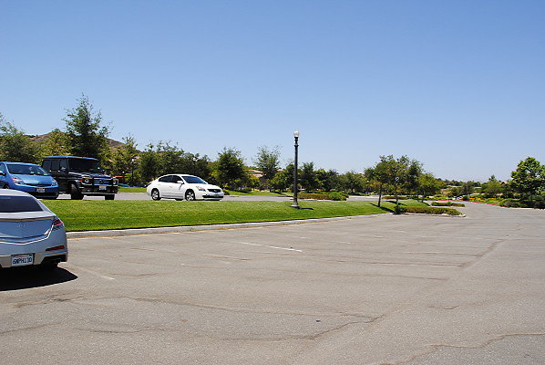 DSC 0022