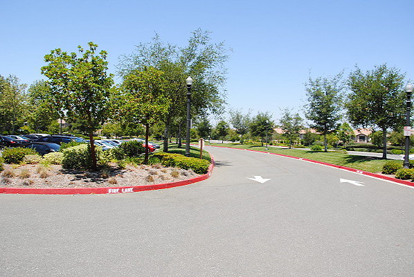 DSC 0017